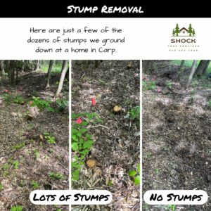 Shock Tree Services Stump Grinding in Carp Cedar Stups