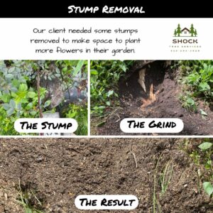 Shock Tree Services Stump Grinding in Carp Flower Bed